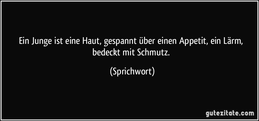 Ein Junge ist eine Haut, gespannt über einen Appetit, ein Lärm, bedeckt mit Schmutz. (Sprichwort)