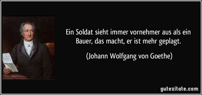 Ein Soldat sieht immer vornehmer aus als ein Bauer, das macht, er ist mehr geplagt. (Johann Wolfgang von Goethe)