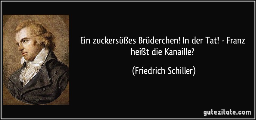 Ein zuckersüßes Brüderchen! In der Tat! - Franz heißt die Kanaille? (Friedrich Schiller)