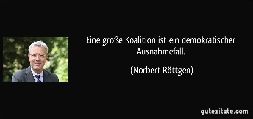 Eine große Koalition ist ein demokratischer Ausnahmefall. (Norbert Röttgen)