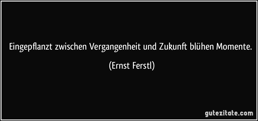 Eingepflanzt zwischen Vergangenheit und Zukunft blühen Momente. (Ernst Ferstl)