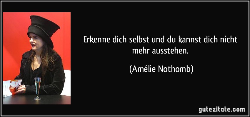 Erkenne dich selbst und du kannst dich nicht mehr ausstehen. (Amélie Nothomb)