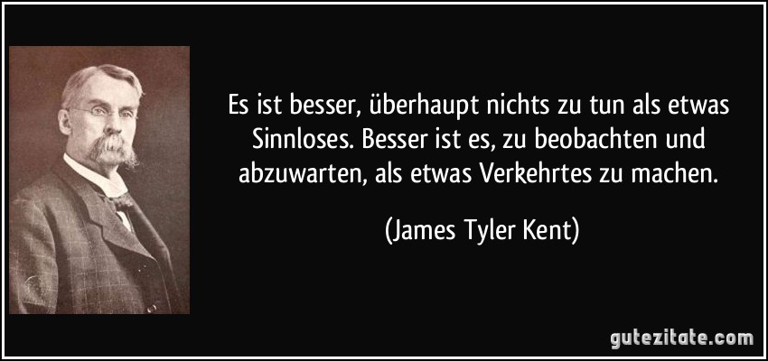 Es ist besser, überhaupt nichts zu tun als etwas Sinnloses. Besser ist es, zu beobachten und abzuwarten, als etwas Verkehrtes zu machen. (James Tyler Kent)