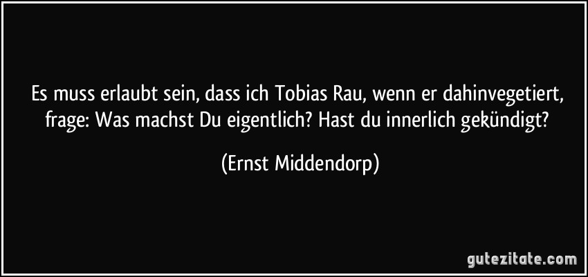 Es muss erlaubt sein, dass ich Tobias Rau, wenn er dahinvegetiert, frage: Was machst Du eigentlich? Hast du innerlich gekündigt? (Ernst Middendorp)