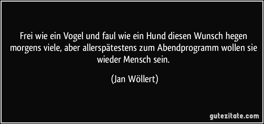 Frei wie ein Vogel und faul wie ein Hund diesen Wunsch hegen morgens viele, aber allerspätestens zum Abendprogramm wollen sie wieder Mensch sein. (Jan Wöllert)