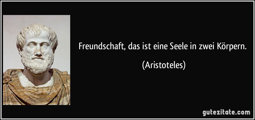 Freundschaft, das ist eine Seele in zwei Körpern. (Aristoteles)