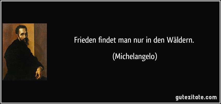 Frieden findet man nur in den Wäldern. (Michelangelo)