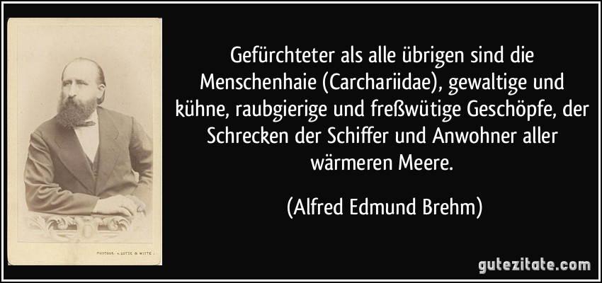 Gefürchteter als alle übrigen sind die Menschenhaie (Carchariidae), gewaltige und kühne, raubgierige und freßwütige Geschöpfe, der Schrecken der Schiffer und Anwohner aller wärmeren Meere. (Alfred Edmund Brehm)