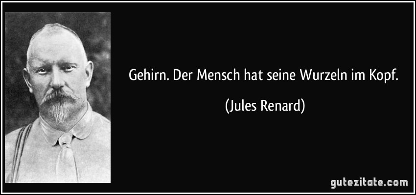 Gehirn. Der Mensch hat seine Wurzeln im Kopf. (Jules Renard)