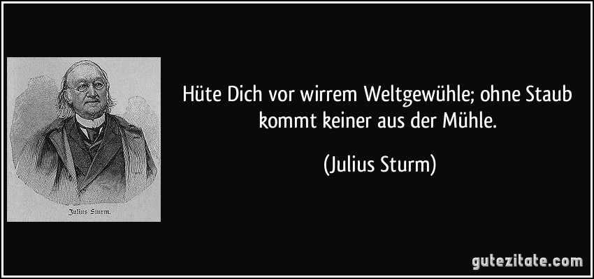 Hüte Dich vor wirrem Weltgewühle; ohne Staub kommt keiner aus der Mühle. (Julius Sturm)