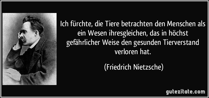 Ich fürchte, die Tiere betrachten den Menschen als ein Wesen ihresgleichen, das in höchst gefährlicher Weise den gesunden Tierverstand verloren hat. (Friedrich Nietzsche)