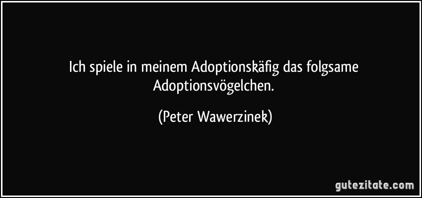 Ich spiele in meinem Adoptionskäfig das folgsame Adoptionsvögelchen. (Peter Wawerzinek)