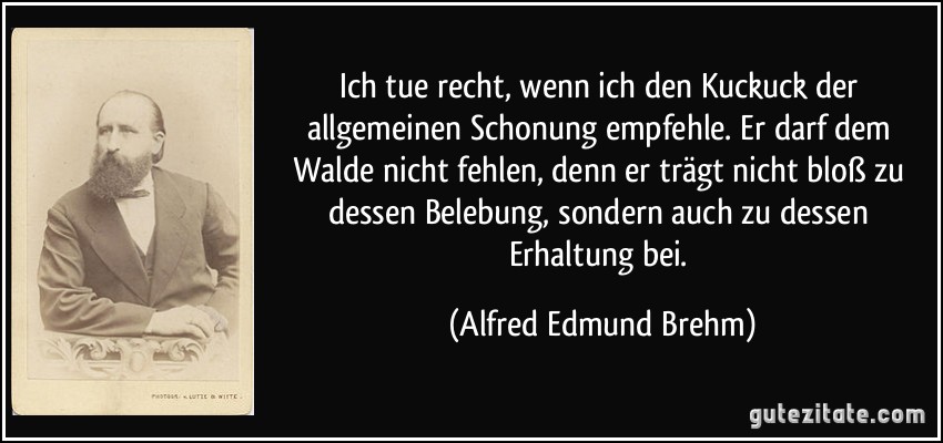 Ich tue recht, wenn ich den Kuckuck der allgemeinen Schonung empfehle. Er darf dem Walde nicht fehlen, denn er trägt nicht bloß zu dessen Belebung, sondern auch zu dessen Erhaltung bei. (Alfred Edmund Brehm)