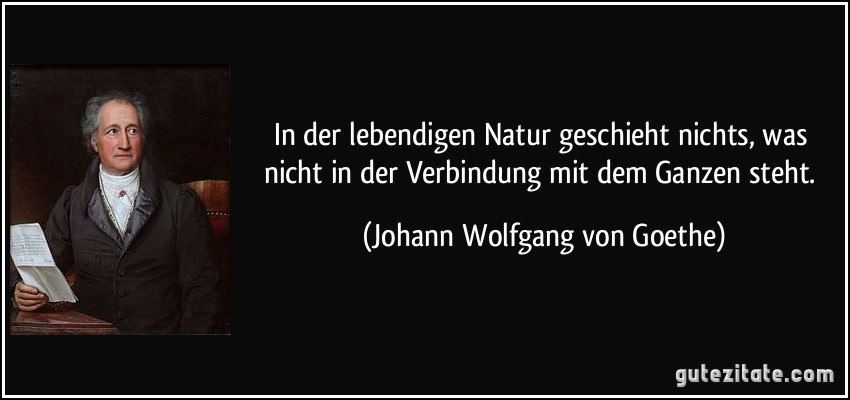 In der lebendigen Natur geschieht nichts, was nicht in der Verbindung mit dem Ganzen steht. (Johann Wolfgang von Goethe)