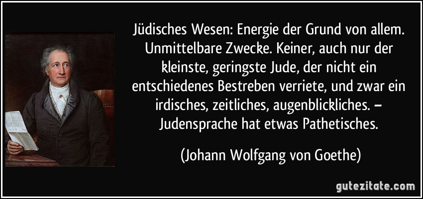 Jüdisches Wesen: Energie der Grund von allem. Unmittelbare Zwecke. Keiner, auch nur der kleinste, geringste Jude, der nicht ein entschiedenes Bestreben verriete, und zwar ein irdisches, zeitliches, augenblickliches. – Judensprache hat etwas Pathetisches. (Johann Wolfgang von Goethe)