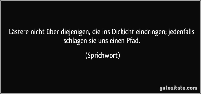 Lästere nicht über diejenigen, die ins Dickicht eindringen; jedenfalls schlagen sie uns einen Pfad. (Sprichwort)