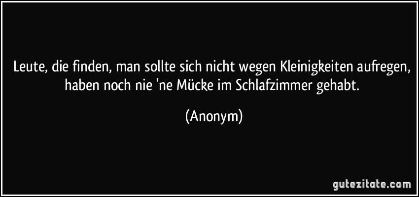 Leute, die finden, man sollte sich nicht wegen Kleinigkeiten aufregen, haben noch nie 'ne Mücke im Schlafzimmer gehabt. (Anonym)