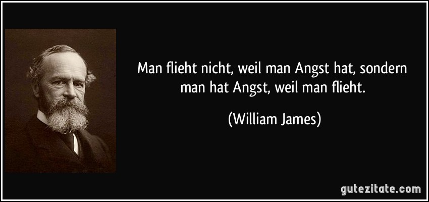 Man flieht nicht, weil man Angst hat, sondern man hat Angst, weil man flieht. (William James)