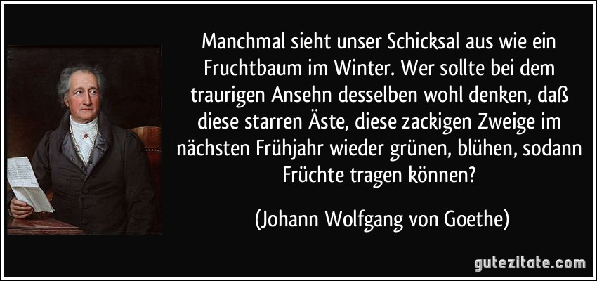 Manchmal sieht unser Schicksal aus wie ein Fruchtbaum im Winter. Wer sollte bei dem traurigen Ansehn desselben wohl denken, daß diese starren Äste, diese zackigen Zweige im nächsten Frühjahr wieder grünen, blühen, sodann Früchte tragen können? (Johann Wolfgang von Goethe)