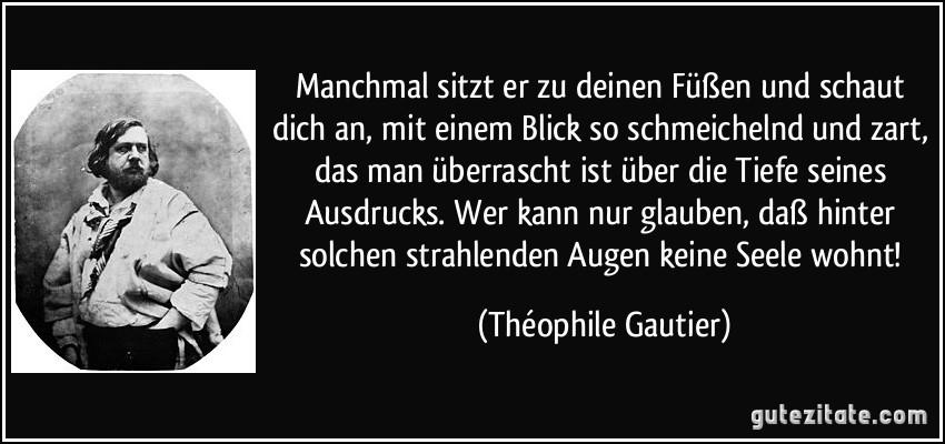 Manchmal sitzt er zu deinen Füßen und schaut dich an, mit einem Blick so schmeichelnd und zart, das man überrascht ist über die Tiefe seines Ausdrucks. Wer kann nur glauben, daß hinter solchen strahlenden Augen keine Seele wohnt! (Théophile Gautier)