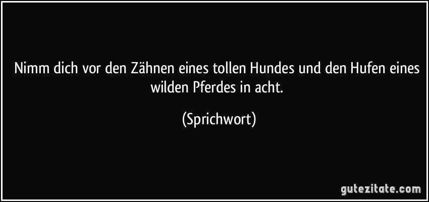 Nimm dich vor den Zähnen eines tollen Hundes und den Hufen eines wilden Pferdes in acht. (Sprichwort)