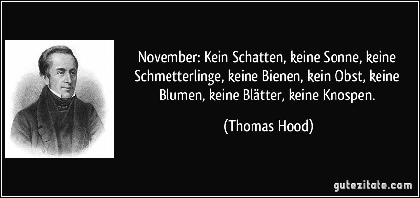 November: Kein Schatten, keine Sonne, keine Schmetterlinge, keine Bienen, kein Obst, keine Blumen, keine Blätter, keine Knospen. (Thomas Hood)
