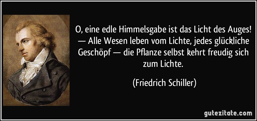 O, eine edle Himmelsgabe ist das Licht des Auges! — Alle Wesen leben vom Lichte, jedes glückliche Geschöpf — die Pflanze selbst kehrt freudig sich zum Lichte. (Friedrich Schiller)