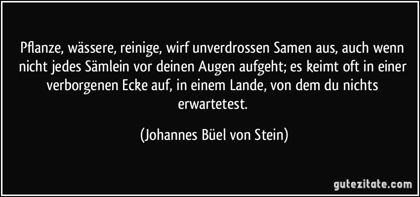 Pflanze, wässere, reinige, wirf unverdrossen Samen aus, auch wenn nicht jedes Sämlein vor deinen Augen aufgeht; es keimt oft in einer verborgenen Ecke auf, in einem Lande, von dem du nichts erwartetest. (Johannes Büel von Stein)