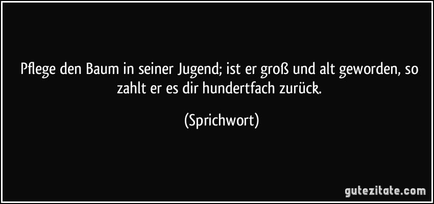 Pflege den Baum in seiner Jugend; ist er groß und alt geworden, so zahlt er es dir hundertfach zurück. (Sprichwort)