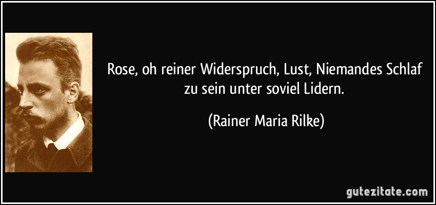 Rose, oh reiner Widerspruch, Lust, / Niemandes Schlaf zu sein unter soviel / Lidern. (Rainer Maria Rilke)