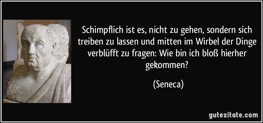 Schimpflich ist es, nicht zu gehen, sondern sich treiben zu lassen und mitten im Wirbel der Dinge verblüfft zu fragen: Wie bin ich bloß hierher gekommen? (Seneca)