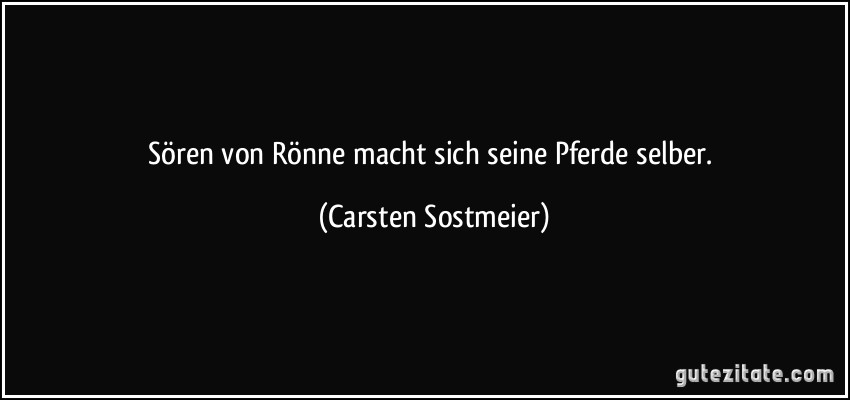 Sören von Rönne macht sich seine Pferde selber. (Carsten Sostmeier)