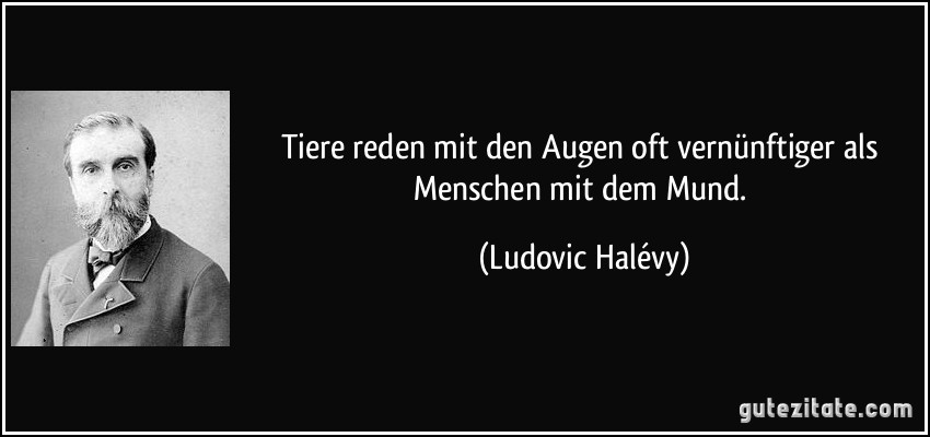 Tiere reden mit den Augen oft vernünftiger als Menschen mit dem Mund. (Ludovic Halévy)