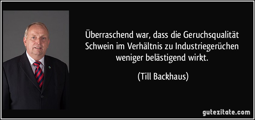 Überraschend war, dass die Geruchsqualität Schwein im Verhältnis zu Industriegerüchen weniger belästigend wirkt. (Till Backhaus)