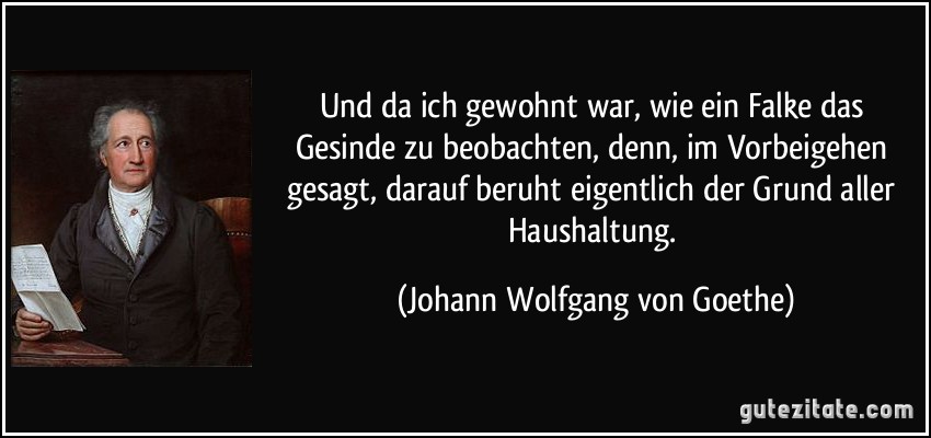 Und da ich gewohnt war, wie ein Falke das Gesinde zu beobachten, denn, im Vorbeigehen gesagt, darauf beruht eigentlich der Grund aller Haushaltung. (Johann Wolfgang von Goethe)