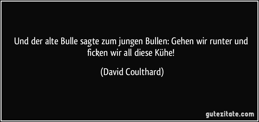 Und der alte Bulle sagte zum jungen Bullen: Gehen wir runter und ficken wir all diese Kühe! (David Coulthard)