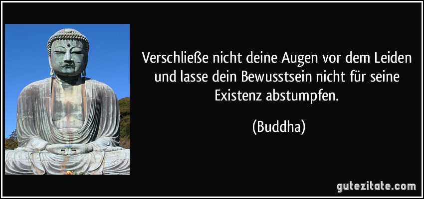 Verschließe nicht deine Augen vor dem Leiden und lasse dein Bewusstsein nicht für seine Existenz abstumpfen. (Buddha)