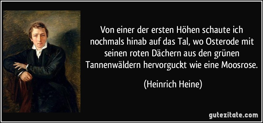 Von einer der ersten Höhen schaute ich nochmals hinab auf das Tal, wo Osterode mit seinen roten Dächern aus den grünen Tannenwäldern hervorguckt wie eine Moosrose. (Heinrich Heine)