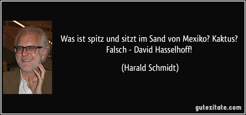 Was ist spitz und sitzt im Sand von Mexiko? Kaktus? Falsch - David Hasselhoff! (Harald Schmidt)