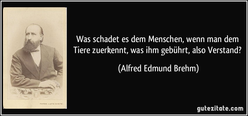 Was schadet es dem Menschen, wenn man dem Tiere zuerkennt, was ihm gebührt, also Verstand? (Alfred Edmund Brehm)