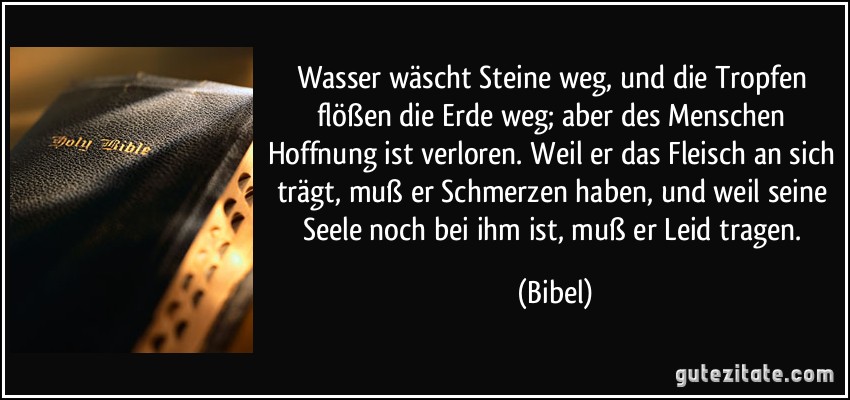 Wasser wäscht Steine weg, und die Tropfen flößen die Erde weg; aber des Menschen Hoffnung ist verloren. Weil er das Fleisch an sich trägt, muß er Schmerzen haben, und weil seine Seele noch bei ihm ist, muß er Leid tragen. (Bibel)