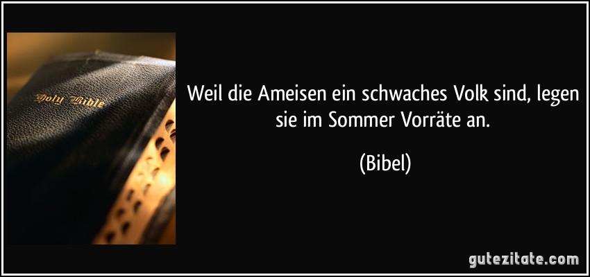 Weil die Ameisen ein schwaches Volk sind, legen sie im Sommer Vorräte an. (Bibel)