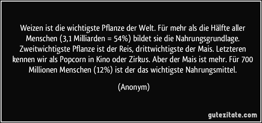 Weizen ist die wichtigste Pflanze der Welt. Für mehr als die Hälfte aller Menschen (3,1 Milliarden = 54%) bildet sie die Nahrungsgrundlage. Zweitwichtigste Pflanze ist der Reis, drittwichtigste der Mais. Letzteren kennen wir als Popcorn in Kino oder Zirkus. Aber der Mais ist mehr. Für 700 Millionen Menschen (12%) ist der das wichtigste Nahrungsmittel. (Anonym)