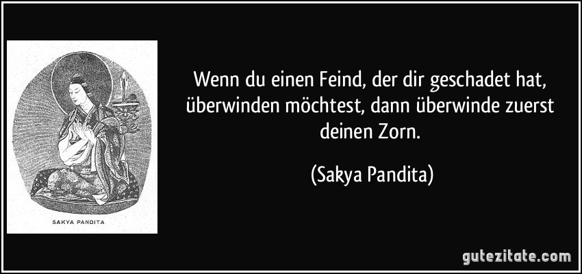 Wenn du einen Feind, der dir geschadet hat, überwinden möchtest, dann überwinde zuerst deinen Zorn. (Sakya Pandita)