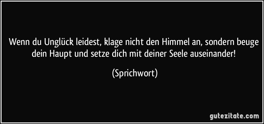 Wenn du Unglück leidest, klage nicht den Himmel an, sondern beuge dein Haupt und setze dich mit deiner Seele auseinander! (Sprichwort)