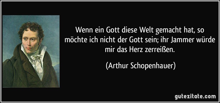 Wenn ein Gott diese Welt gemacht hat, so möchte ich nicht der Gott sein; ihr Jammer würde mir das Herz zerreißen. (Arthur Schopenhauer)