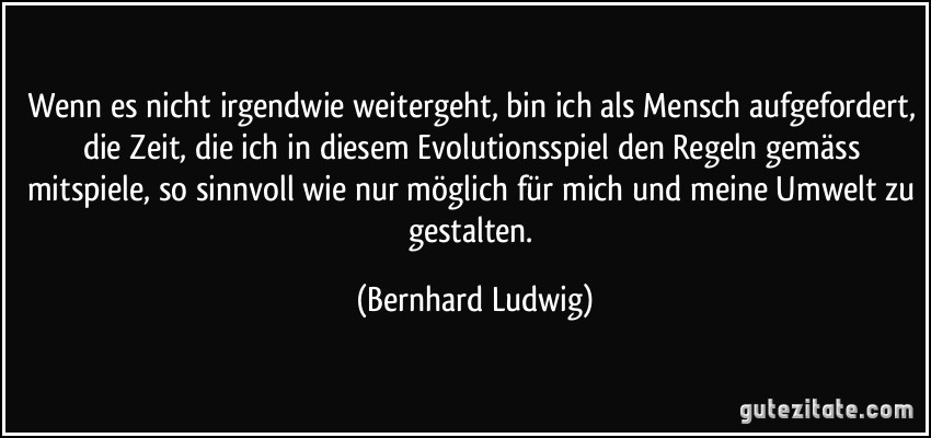 Wenn es nicht irgendwie weitergeht, bin ich als Mensch aufgefordert, die Zeit, die ich in diesem Evolutionsspiel den Regeln gemäss mitspiele, so sinnvoll wie nur möglich für mich und meine Umwelt zu gestalten. (Bernhard Ludwig)