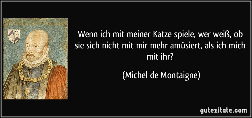 Wenn ich mit meiner Katze spiele, wer weiß, ob sie sich nicht mit mir mehr amüsiert, als ich mich mit ihr? (Michel de Montaigne)