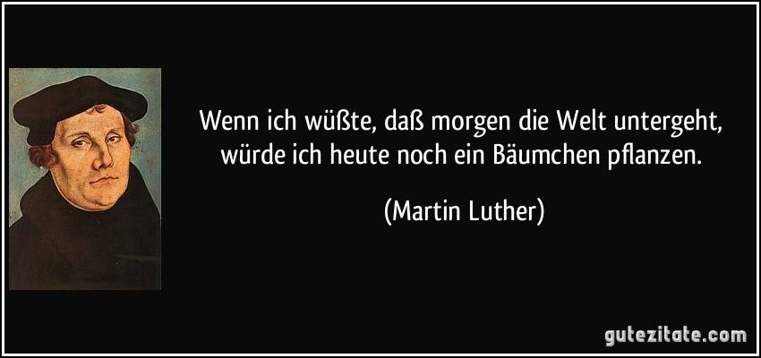 Wenn ich wüßte, daß morgen die Welt untergeht, würde ich heute noch ein Bäumchen pflanzen. (Martin Luther)