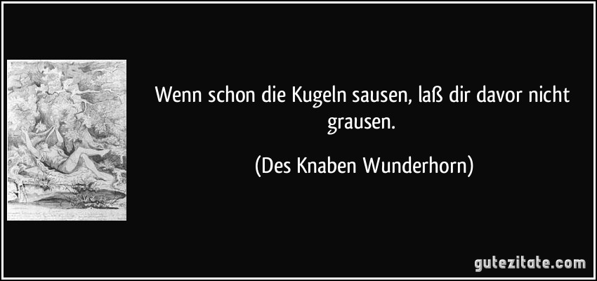 Wenn schon die Kugeln sausen, laß dir davor nicht grausen. (Des Knaben Wunderhorn)